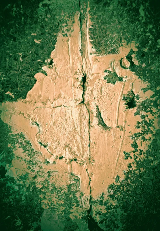 2026_05_18_77644